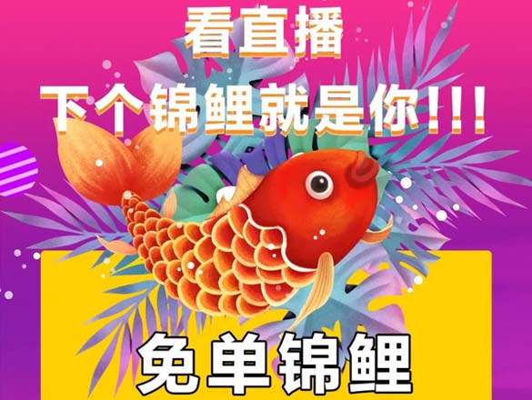 [直播預(yù)告]預(yù)算不夠,福利來湊!雙11半價裝修,就在11.10-11.11極家精裝直播間!